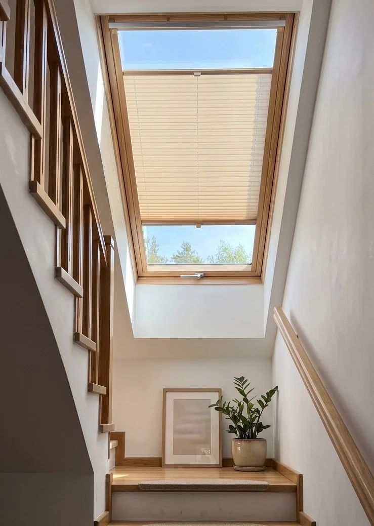 Plisy dachowe